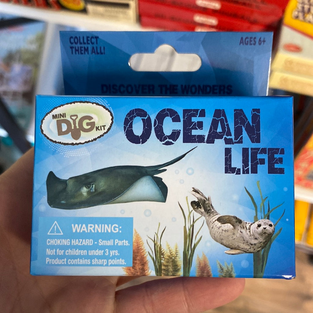 Ocean Life Dig Kit
