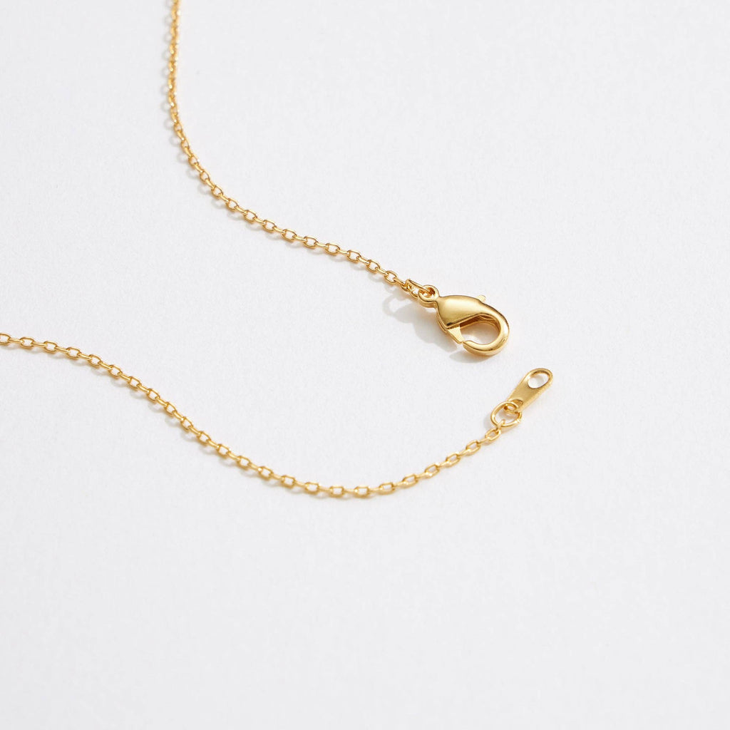 Gold Dipped Sea Snail Pendant Necklace: Gold