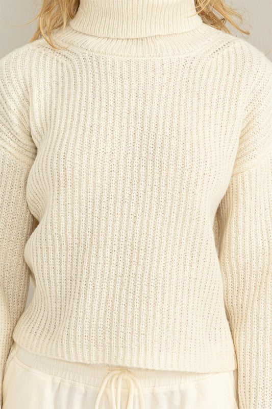 Pretty Sweet Semi Crop Sweater