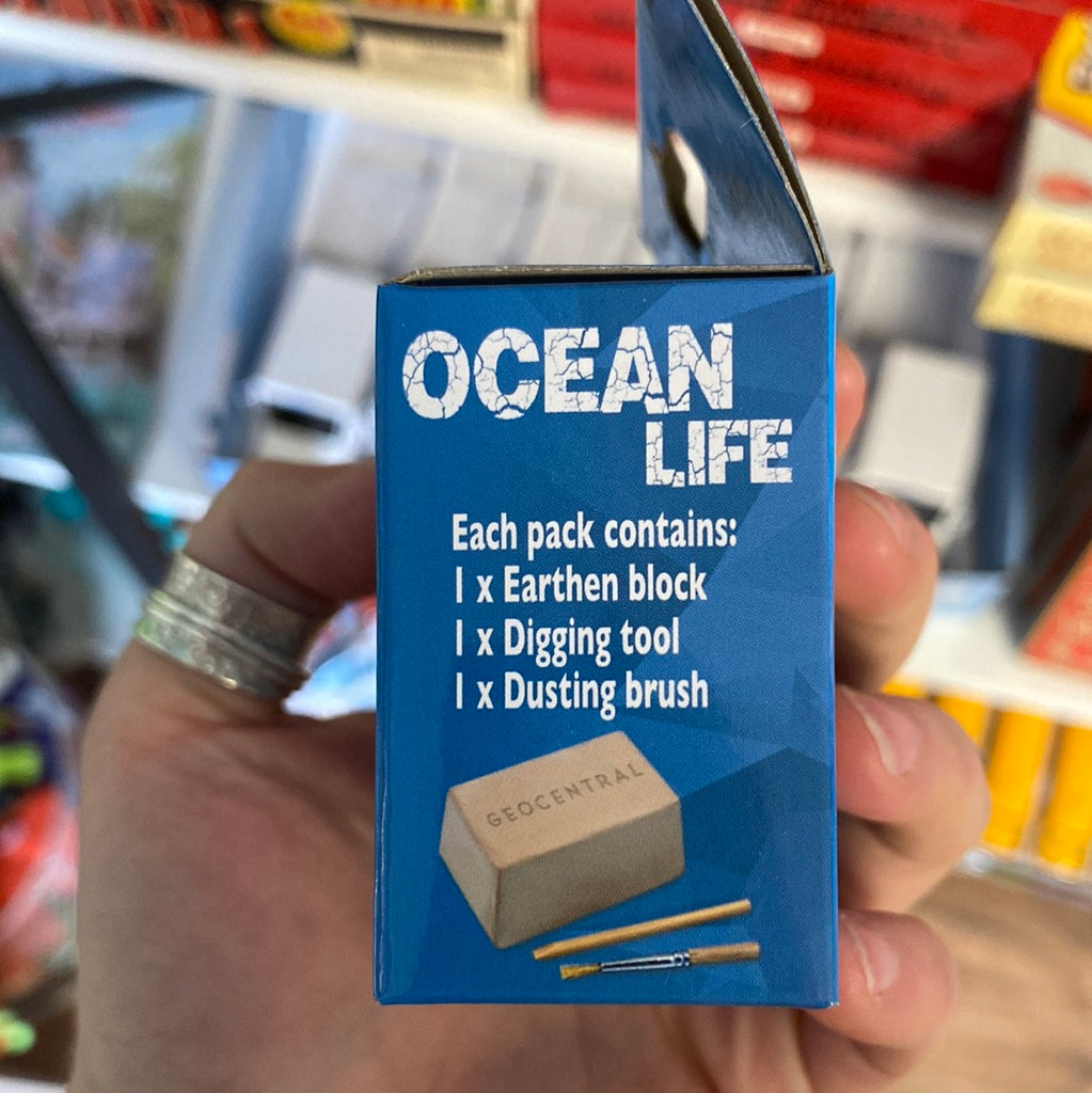 Ocean Life Dig Kit