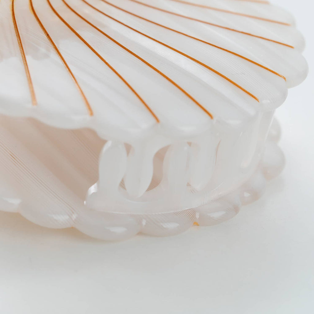 Opal Pearl Seashell
