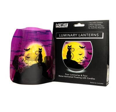 Luminary Lantern - Salem - Halloween Black Cat